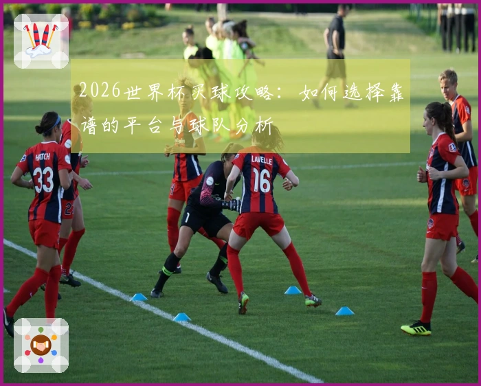 2026世界杯买球攻略：如何选择靠谱的平台与球队分析