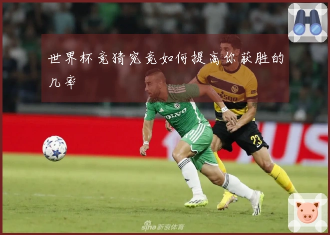 世界杯竞猜究竟如何提高你获胜的几率