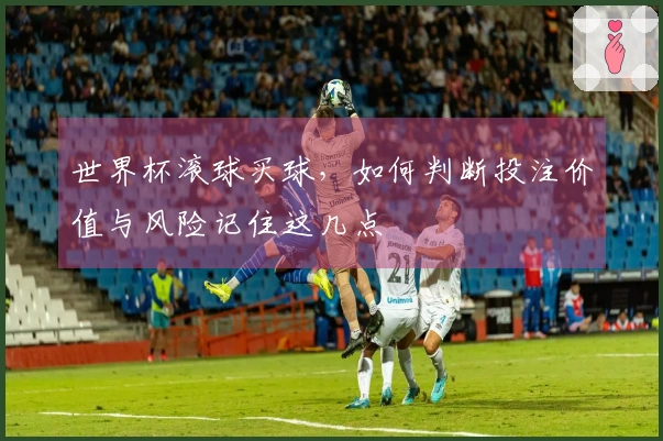 世界杯滚球买球，如何判断投注价值与风险记住这几点