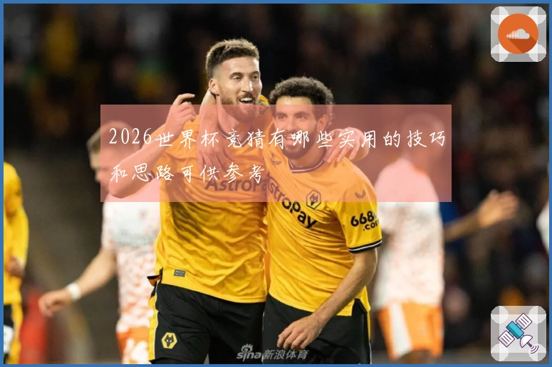 2026世界杯竞猜有哪些实用的技巧和思路可供参考