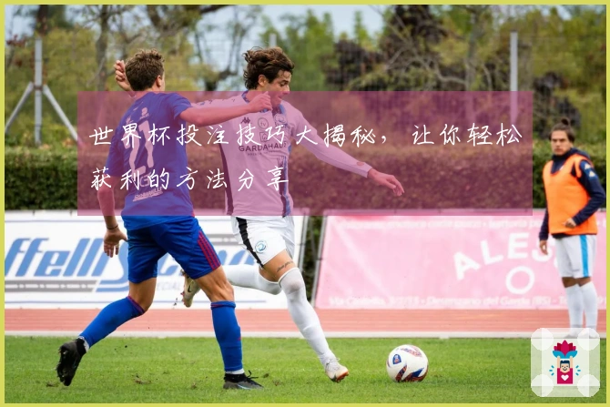 世界杯投注技巧大揭秘，让你轻松获利的方法分享