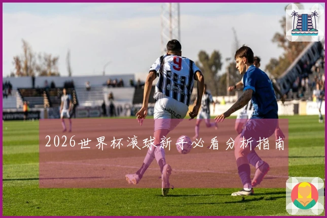 2026世界杯滚球新手必看分析指南