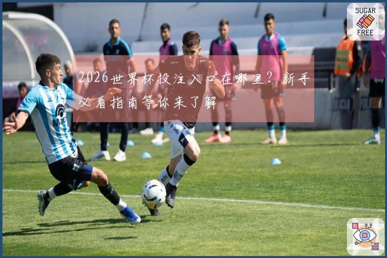 2026世界杯投注入口在哪里？新手必看指南等你来了解