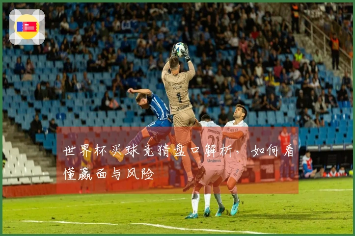 世界杯买球竞猜盘口解析，如何看懂赢面与风险