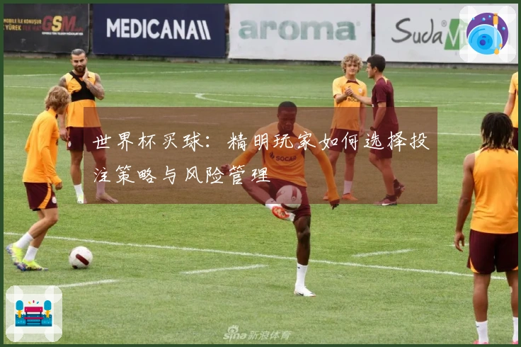 世界杯买球：精明玩家如何选择投注策略与风险管理