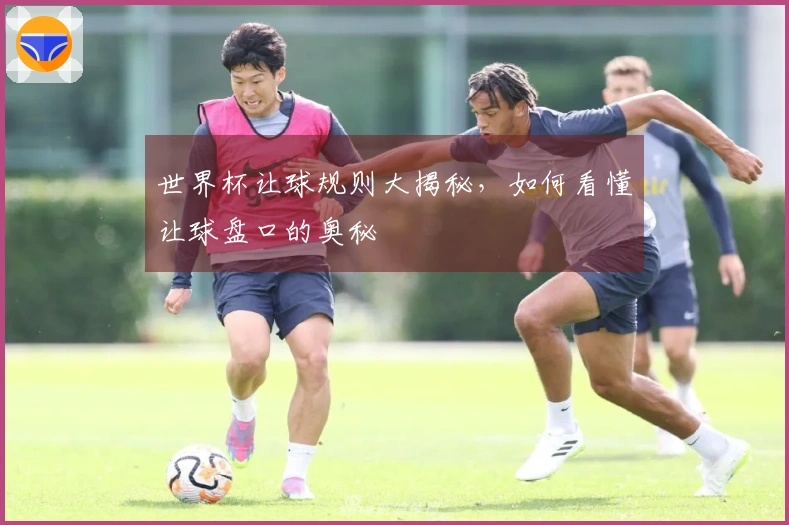 世界杯让球规则大揭秘，如何看懂让球盘口的奥秘