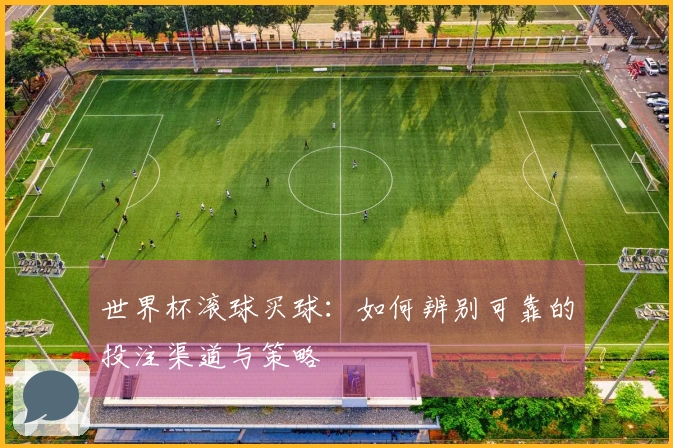 世界杯滚球买球：如何辨别可靠的投注渠道与策略