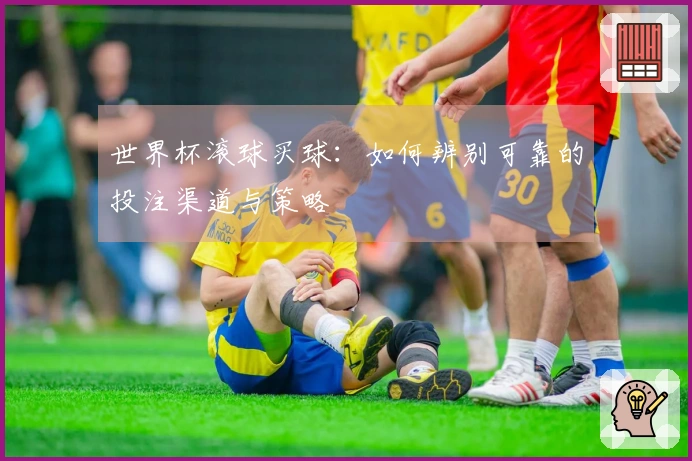 世界杯滚球买球：如何辨别可靠的投注渠道与策略
