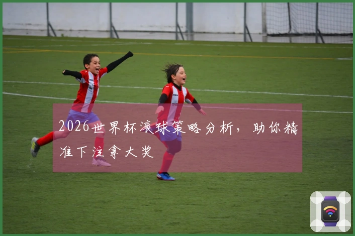 2026世界杯滚球策略分析，助你精准下注拿大奖