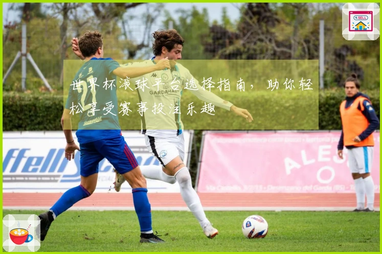 世界杯滚球平台选择指南，助你轻松享受赛事投注乐趣