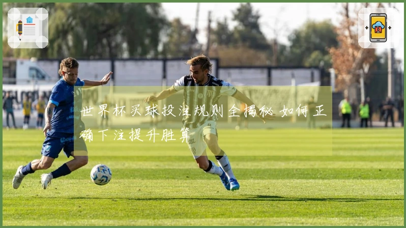 世界杯买球投注规则全揭秘 如何正确下注提升胜算