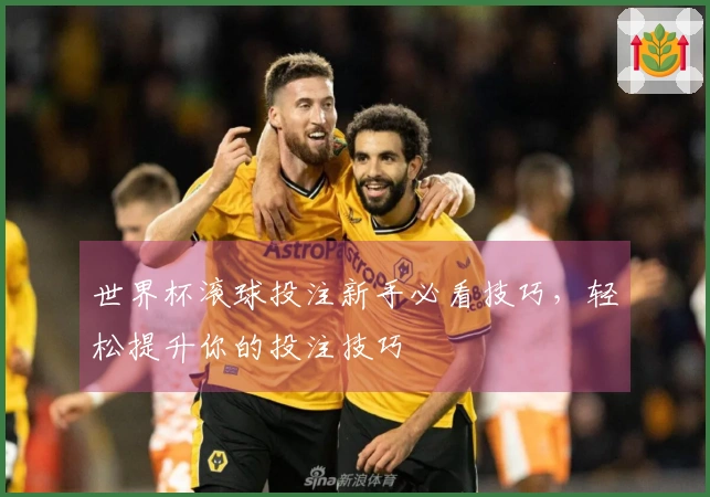 世界杯滚球投注新手必看技巧，轻松提升你的投注技巧