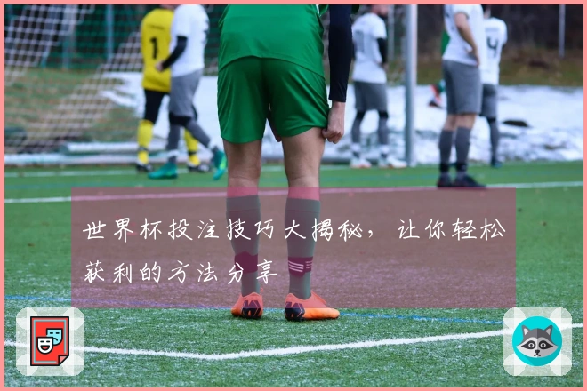 世界杯投注技巧大揭秘，让你轻松获利的方法分享