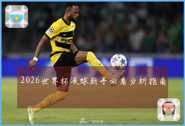 2026世界杯滚球新手必看分析指南