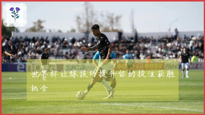 世界杯让球技巧提升你的投注获胜机会