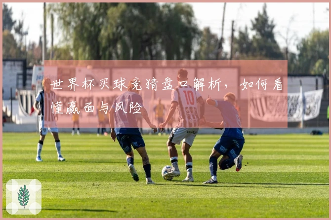 世界杯买球竞猜盘口解析，如何看懂赢面与风险